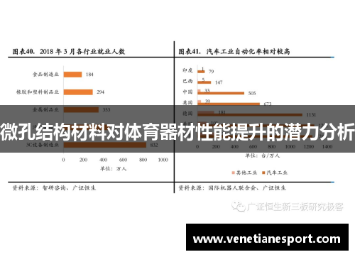 微孔结构材料对体育器材性能提升的潜力分析