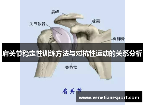 肩关节稳定性训练方法与对抗性运动的关系分析